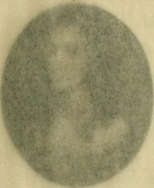 An illustration from Samuel Cooper and the English miniature painters of the XVII century, 1914, leaf 66