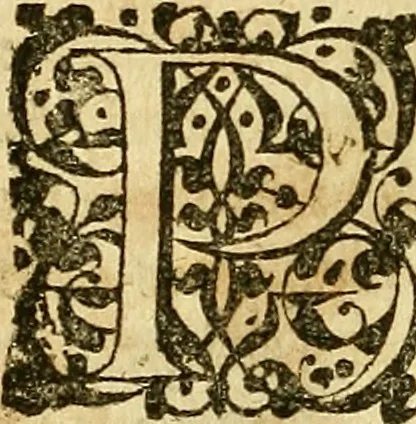 An illustration from Samuelis Pufendorfij De jure naturae et gentium libri octo, 1672, leaf 1045