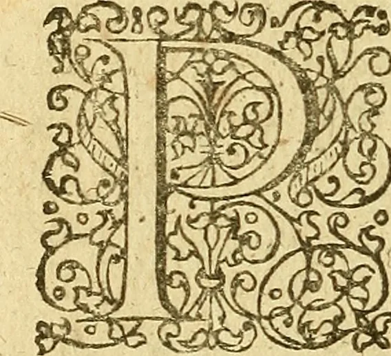 An illustration from Samuelis Pufendorfij De jure naturae et gentium libri octo, 1672, leaf 159