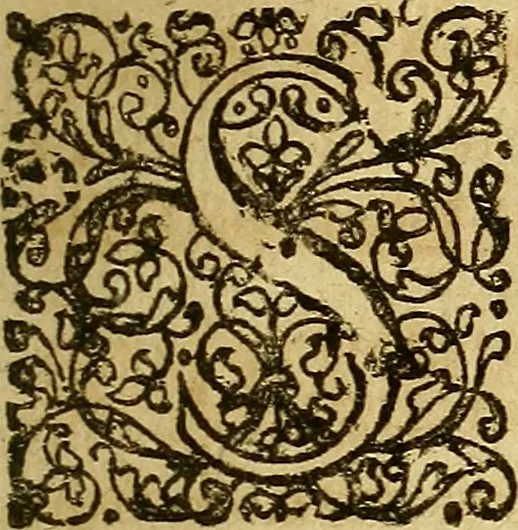 An illustration from Samuelis Pufendorfij De jure naturae et gentium libri octo, 1672, leaf 20