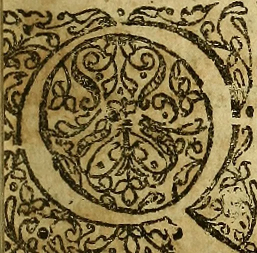 An illustration from Samuelis Pufendorfij De jure naturae et gentium libri octo, 1672, leaf 278