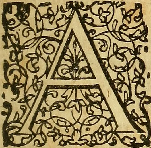 An illustration from Samuelis Pufendorfij De jure naturae et gentium libri octo, 1672, leaf 28