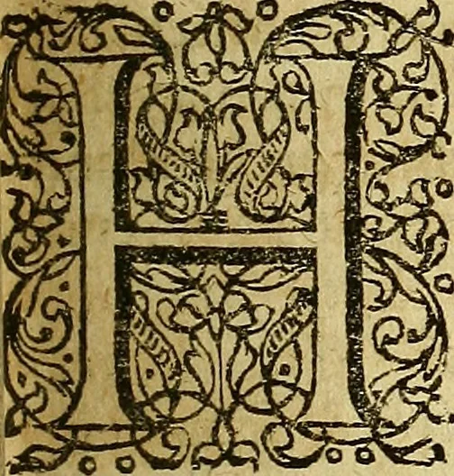 An illustration from Samuelis Pufendorfij De jure naturae et gentium libri octo, 1672, leaf 410