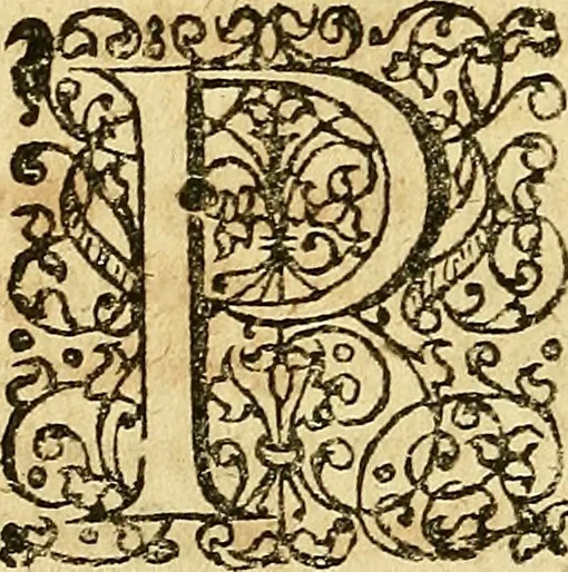 An illustration from Samuelis Pufendorfij De jure naturae et gentium libri octo, 1672, leaf 617