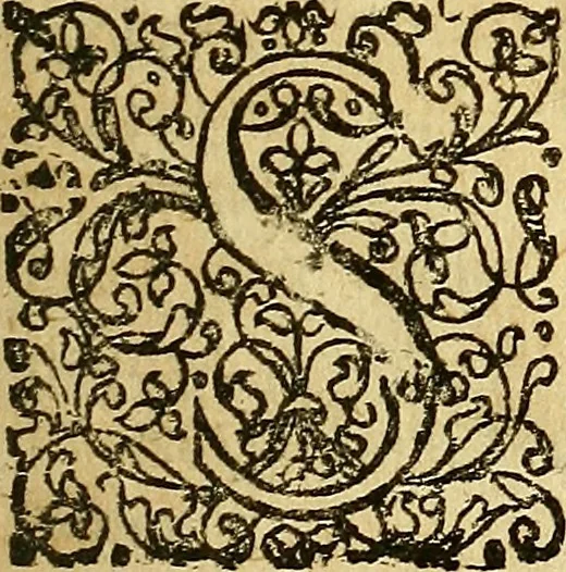 An illustration from Samuelis Pufendorfij De jure naturae et gentium libri octo, 1672, leaf 776
