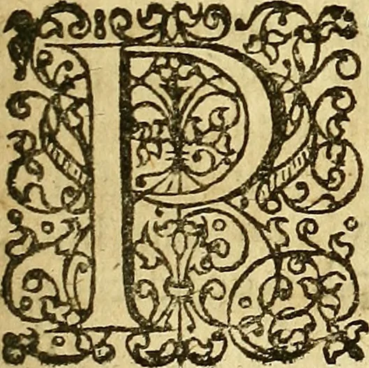 An illustration from Samuelis Pufendorfij De jure naturae et gentium libri octo, 1672, leaf 878