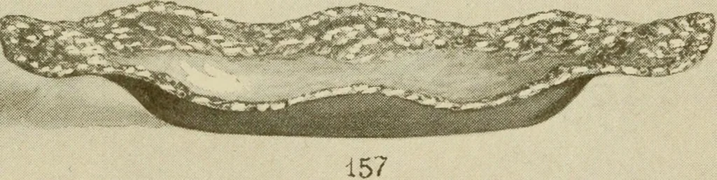 An illustration from Samuel Kirk & Son Co. : oldest makers of silverware in the United States : established 1817, 1914, leaf 24