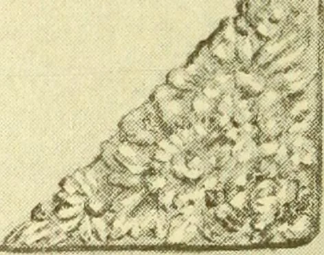 An illustration from Samuel Kirk & Son Co. : oldest makers of silverware in the United States : established 1817, 1914, leaf 75