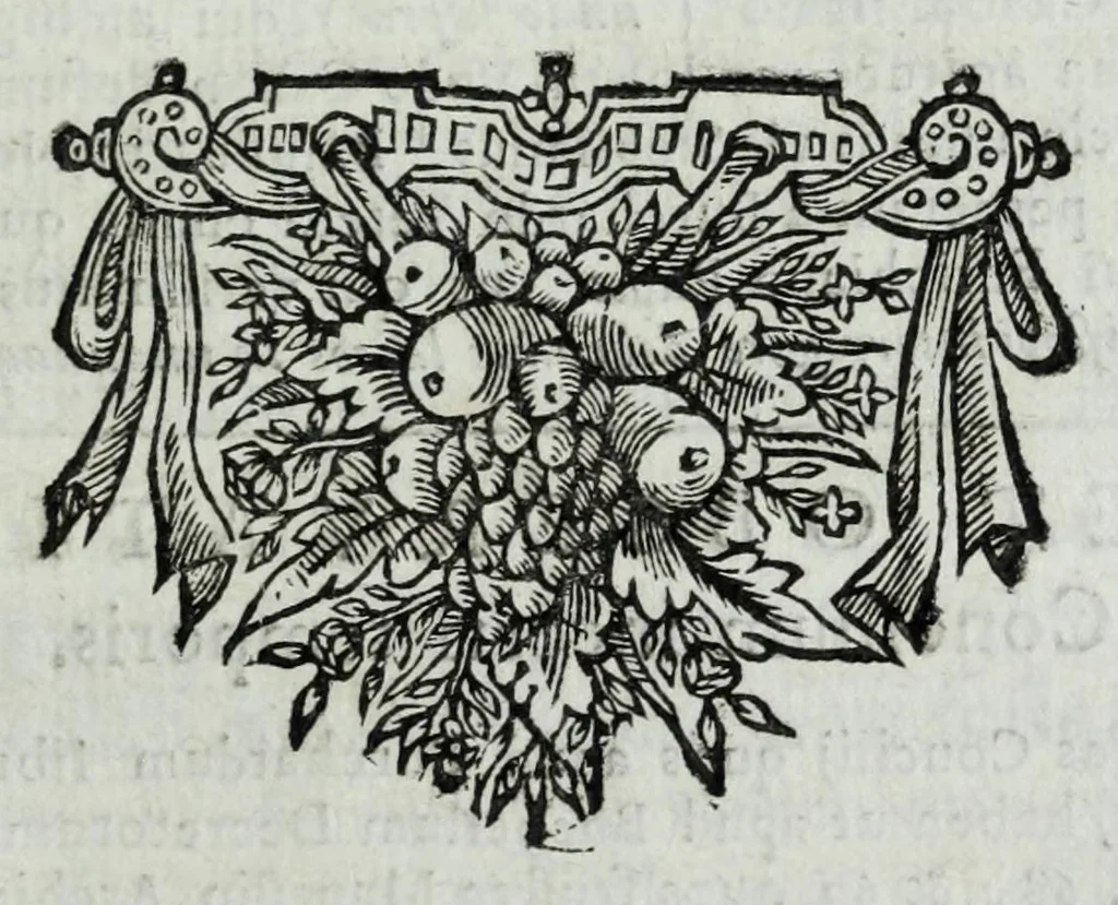 An illustration from Sanctae Rotomagensis ecclesiae concilia ac synodalia decreta : quae hactenus aut nondum edita, aut varijs locis dispersa in unum corpus collegit ... : brevem item Rotomagensium praesulum notitiam dedit D. Franciscus Pommeraye ... : notas praeterea & observationes subjunxit in eadem concilia per D. Angelum Godin .., 1677, leaf 569