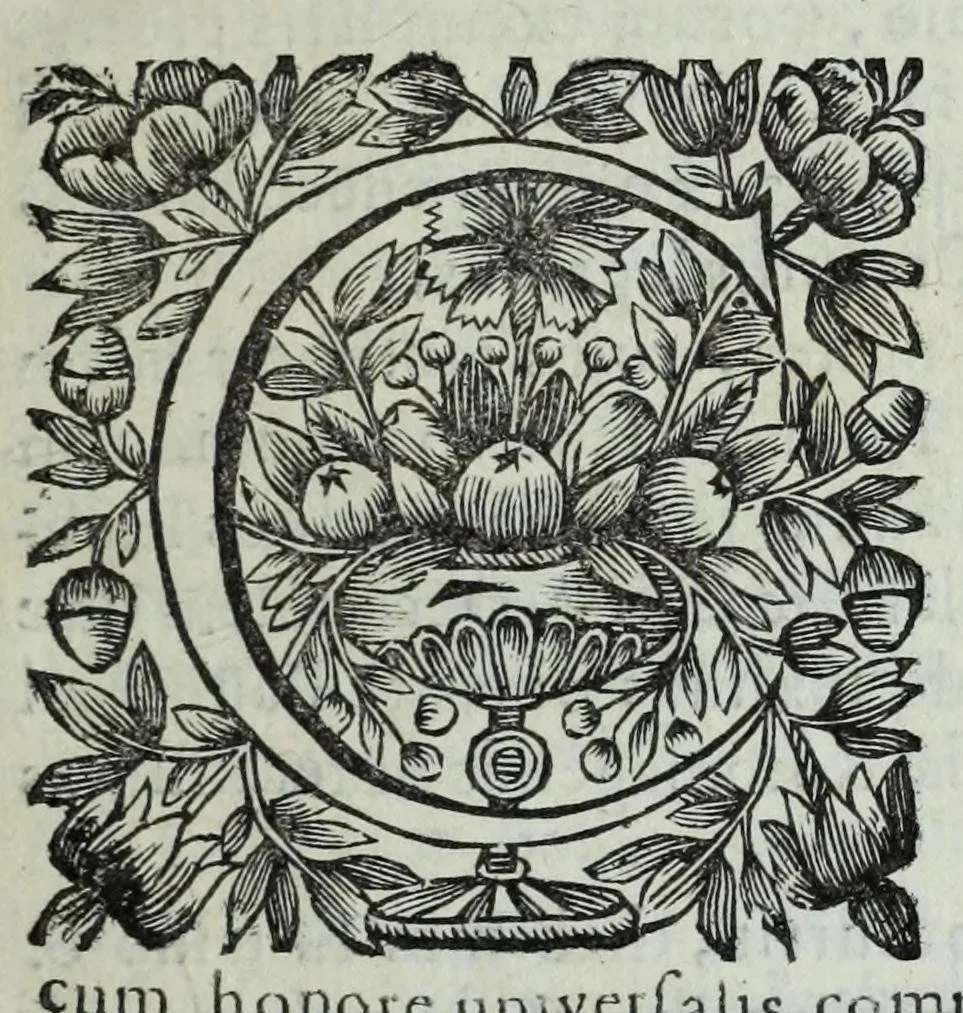 An illustration from Sanctae Rotomagensis ecclesiae concilia ac synodalia decreta : quae hactenus aut nondum edita, aut varijs locis dispersa in unum corpus collegit ... : brevem item Rotomagensium praesulum notitiam dedit D. Franciscus Pommeraye ... : notas praeterea & observationes subjunxit in eadem concilia per D. Angelum Godin .., 1677, leaf 9