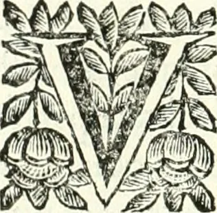 An illustration from Aquila sancta, siue Bauarica : elogiis, hieroglyphicis, numismatibus, insignibus, symbolis, imaginibus antiquis ad viuum exculpta, & longa historiarum serie exarata : vt nihil relictum sit, quod prisci, vel hodierni habeant annales, sed diplomata, leges, indulta, genealogiae, donationes, priuilegia offeruntur congesta : accedit tractatus sacrolegalis, & historicopoliticus ..., 1674, leaf 65