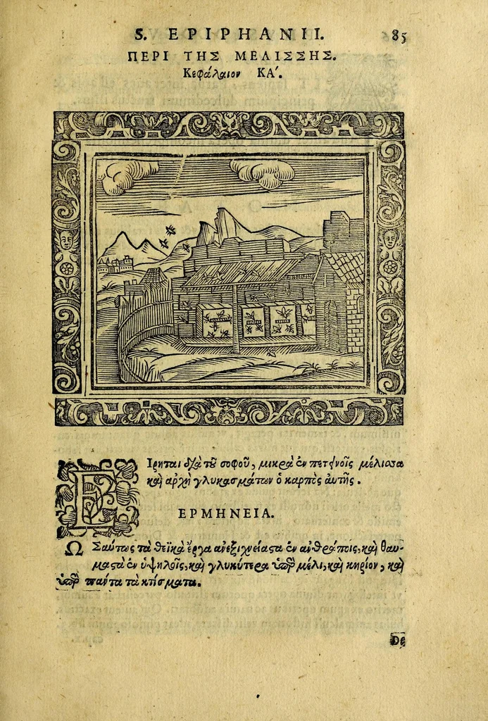 An illustration from Sancti patris nostri Epiphanii episcopi Constantiae Cypri ad Physiologum, eiusdem in die festo palmarum sermo, 1587, leaf 105