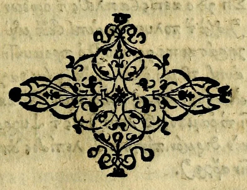 An illustration from Sancti patris nostri Epiphanii episcopi Constantiae Cypri ad Physiologum, eiusdem in die festo palmarum sermo, 1587, leaf 41