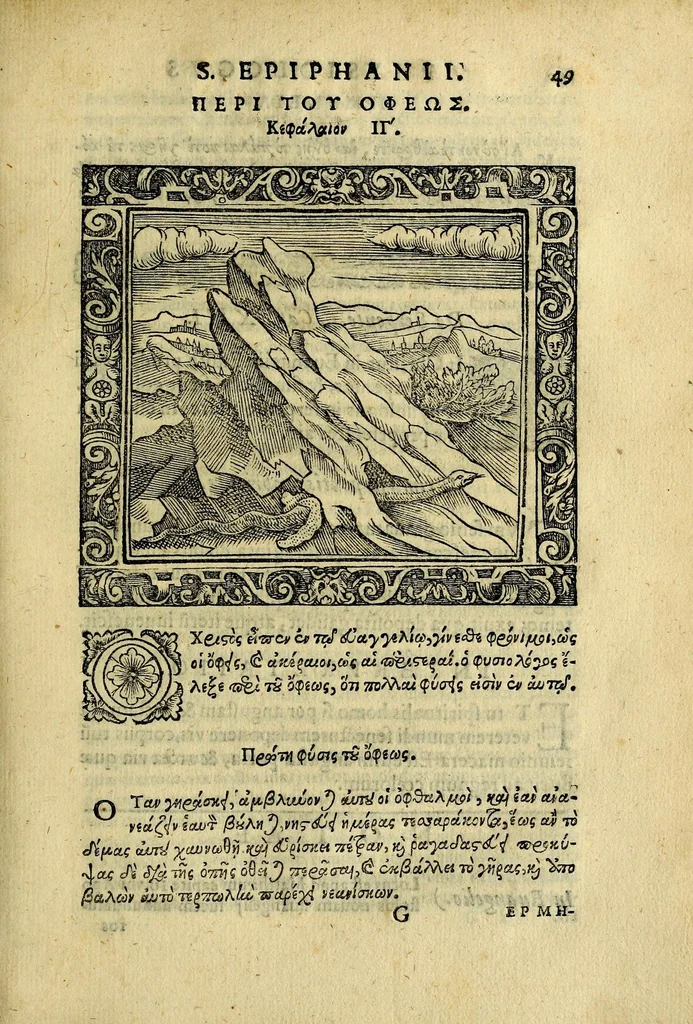 An illustration from Sancti patris nostri Epiphanii episcopi Constantiae Cypri ad Physiologum, eiusdem in die festo palmarum sermo, 1587, leaf 69
