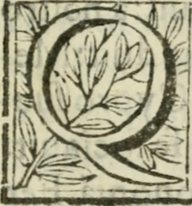 An illustration from Sanctuarium Capuanum : opus in quo sacrae res Capuae, et per occasionem plura, tam ad diversas civitates regni pertinentia, quàm per se curiosa continentur, 1630, leaf 14