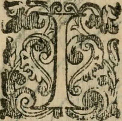 An illustration from Sanctuarium Capuanum : opus in quo sacrae res Capuae, et per occasionem plura, tam ad diversas civitates regni pertinentia, quàm per se curiosa continentur, 1630, leaf 181