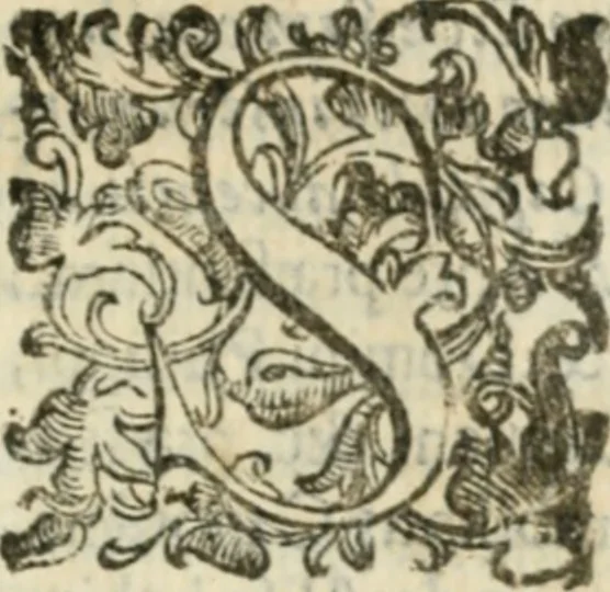An illustration from Sanctuarium Capuanum : opus in quo sacrae res Capuae, et per occasionem plura, tam ad diversas civitates regni pertinentia, quàm per se curiosa continentur, 1630, leaf 266