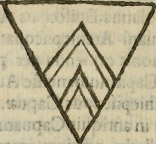 An illustration from Sanctuarium Capuanum : opus in quo sacrae res Capuae, et per occasionem plura, tam ad diversas civitates regni pertinentia, quàm per se curiosa continentur, 1630, leaf 323