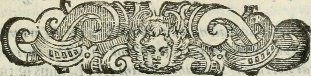 An illustration from Sanctuarium Capuanum : opus in quo sacrae res Capuae, et per occasionem plura, tam ad diversas civitates regni pertinentia, quàm per se curiosa continentur, 1630, leaf 502