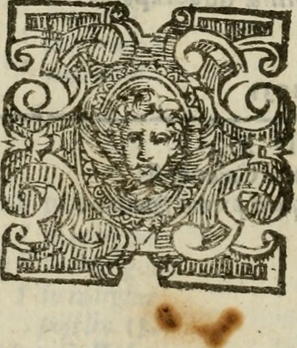 An illustration from Sanctuarium Capuanum : opus in quo sacrae res Capuae, et per occasionem plura, tam ad diversas civitates regni pertinentia, quàm per se curiosa continentur, 1630, leaf 727