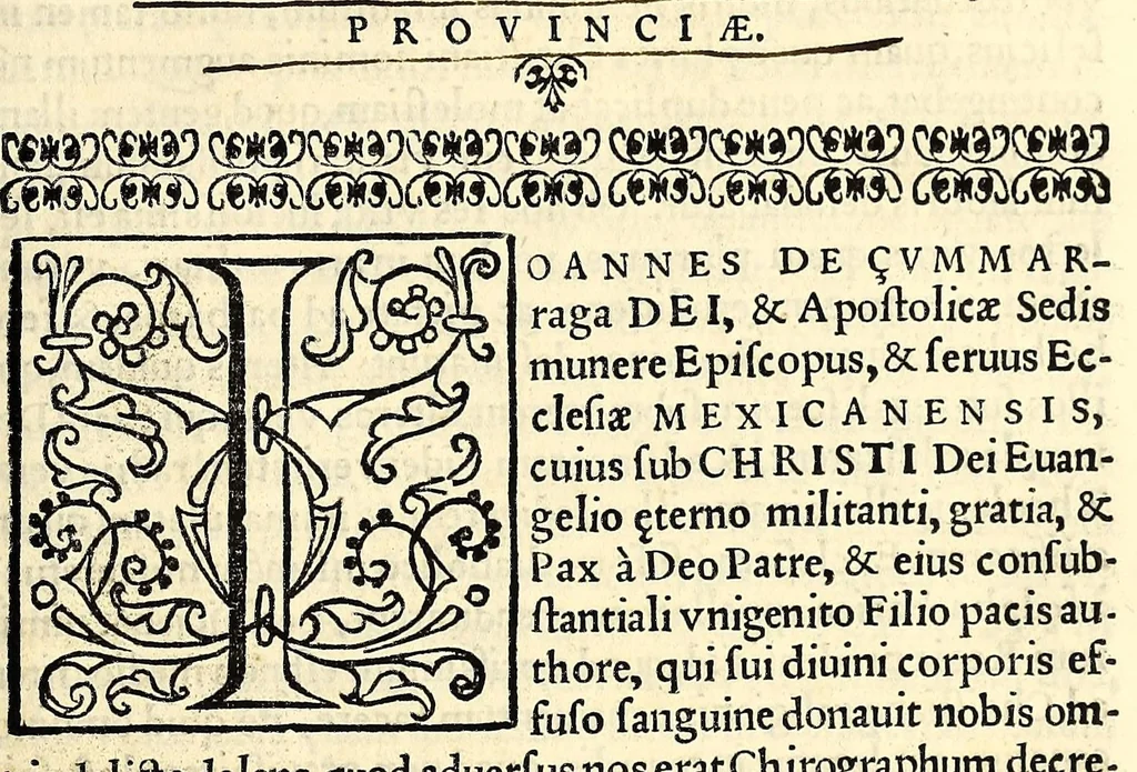 An illustration from Sanctum prouinciale concilium Mexici celebratum anno D[omi]ni millessmo. quingentessmo. octuagessimo quinto. : Praesidente in eo Illmo. ac Rmo. D. D. Petro Moya de Contreras Archiepo. Mexicano. Romae confirmatum die vigessima septima Octobris anno. 1589. Nunc vero ad instantiam et ex sumptibus Illmi. ac Rmi. D. D. Ioannis de la Serna Archiep. Mexican. iussu regio editum, 1622, leaf 229