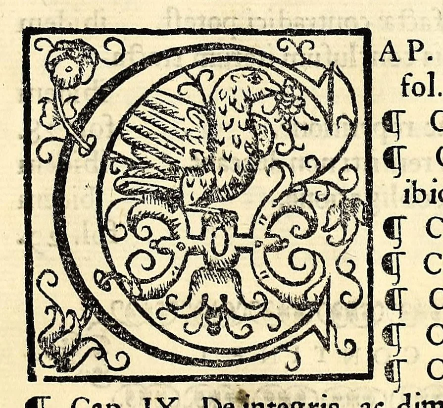 An illustration from Sanctum prouinciale concilium Mexici celebratum anno D[omi]ni millessmo. quingentessmo. octuagessimo quinto. : Praesidente in eo Illmo. ac Rmo. D. D. Petro Moya de Contreras Archiepo. Mexicano. Romae confirmatum die vigessima septima Octobris anno. 1589. Nunc vero ad instantiam et ex sumptibus Illmi. ac Rmi. D. D. Ioannis de la Serna Archiep. Mexican. iussu regio editum, 1622, leaf 301
