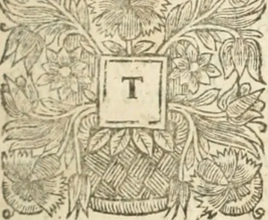 An illustration from Sandys Travels: containing an history of the original and present state of the Turkish empire ... the Mahometan religion and ceremonies. A description of Constantinople ... also, of Greece ... Of Ægypt ... A description of the Holy-Land ... Lastly, Italy described, and the islands adjoining. Illustrated with fifty graven maps and figures, 1673, leaf 12