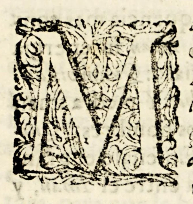 An illustration from San Pedro de Alcantara celebrado iman de la seraphica descalcez, y mas estrecha observancia de los religiosos menores de N.S.P.S Francisco, en su convento de San Diego de Mexico en 19. de octubre de 1696 años. : Dalo a la estampa la devocion del señor doctor D. Francisco de Deza, y Vlloa cathedratico, que fue, de rethorica en la Real Vniversidad Mexicana; y oy dignissimo inquisidor fiscal en la Santa Inquisicion desta corte., 1697, leaf 23