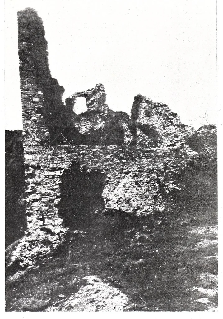 An illustration from Santa Caterina Fieschi-Adorno e i Genovesi : cenni biografici storici ed artistici, 1910, leaf 15
