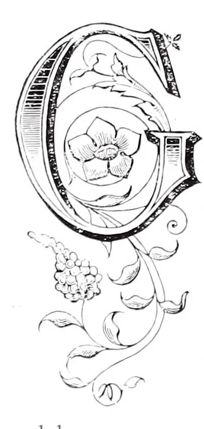 An illustration from Santa Caterina Fieschi-Adorno e i Genovesi : cenni biografici storici ed artistici, 1910, leaf 171