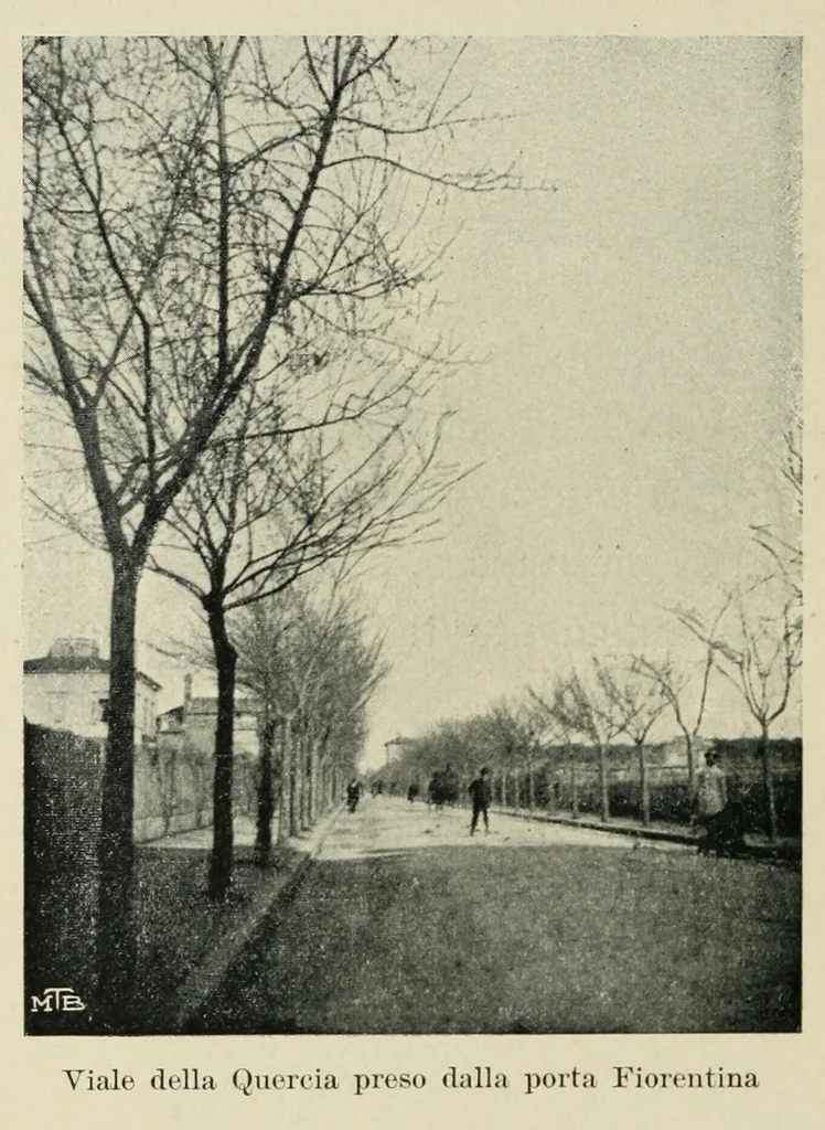 An illustration from Santa Maria della Quercia, 1904, leaf 46