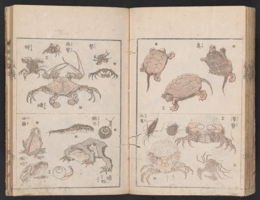 An illustration from Santei gafu, 1816, leaf 23