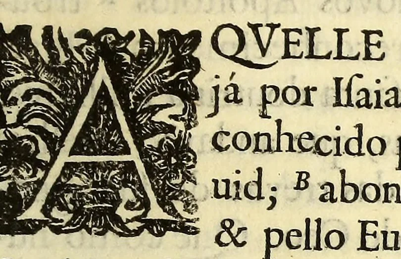 An illustration from A santidade do monarca ecclesiastico Innocencio X. expoem Portugal as causas de seu sentimento, & de suas esperanças, 1646, leaf 9
