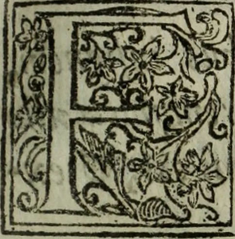 An illustration from Saphira veneziana, e Jacinto portuguez : vida, morte, heroycas virtudes, & maravilhas ràras do gloriosissimo protopatriarcha S. Lourenço Justiniano, e do veneravel padre Antonio da Cõceiçam : livro unico, historico, & panegirico, 1677, leaf 106