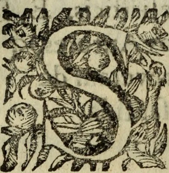 An illustration from Saphira veneziana, e Jacinto portuguez : vida, morte, heroycas virtudes, & maravilhas ràras do gloriosissimo protopatriarcha S. Lourenço Justiniano, e do veneravel padre Antonio da Cõceiçam : livro unico, historico, & panegirico, 1677, leaf 109