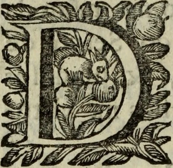 An illustration from Saphira veneziana, e Jacinto portuguez : vida, morte, heroycas virtudes, & maravilhas ràras do gloriosissimo protopatriarcha S. Lourenço Justiniano, e do veneravel padre Antonio da Cõceiçam : livro unico, historico, & panegirico, 1677, leaf 159