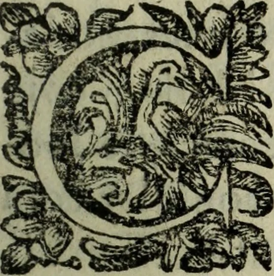 An illustration from Saphira veneziana, e Jacinto portuguez : vida, morte, heroycas virtudes, & maravilhas ràras do gloriosissimo protopatriarcha S. Lourenço Justiniano, e do veneravel padre Antonio da Cõceiçam : livro unico, historico, & panegirico, 1677, leaf 164