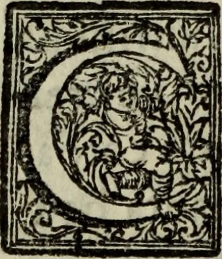 An illustration from Saphira veneziana, e Jacinto portuguez : vida, morte, heroycas virtudes, & maravilhas ràras do gloriosissimo protopatriarcha S. Lourenço Justiniano, e do veneravel padre Antonio da Cõceiçam : livro unico, historico, & panegirico, 1677, leaf 171