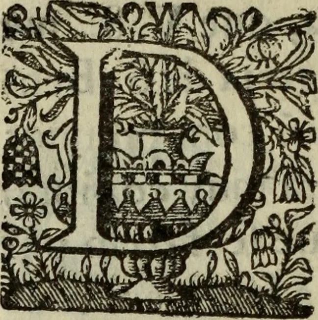 An illustration from Saphira veneziana, e Jacinto portuguez : vida, morte, heroycas virtudes, & maravilhas ràras do gloriosissimo protopatriarcha S. Lourenço Justiniano, e do veneravel padre Antonio da Cõceiçam : livro unico, historico, & panegirico, 1677, leaf 173