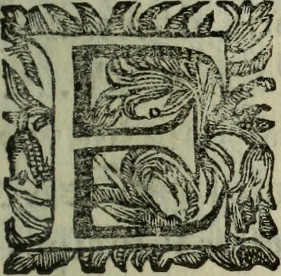 An illustration from Saphira veneziana, e Jacinto portuguez : vida, morte, heroycas virtudes, & maravilhas ràras do gloriosissimo protopatriarcha S. Lourenço Justiniano, e do veneravel padre Antonio da Cõceiçam : livro unico, historico, & panegirico, 1677, leaf 176