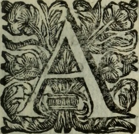 An illustration from Saphira veneziana, e Jacinto portuguez : vida, morte, heroycas virtudes, & maravilhas ràras do gloriosissimo protopatriarcha S. Lourenço Justiniano, e do veneravel padre Antonio da Cõceiçam : livro unico, historico, & panegirico, 1677, leaf 180