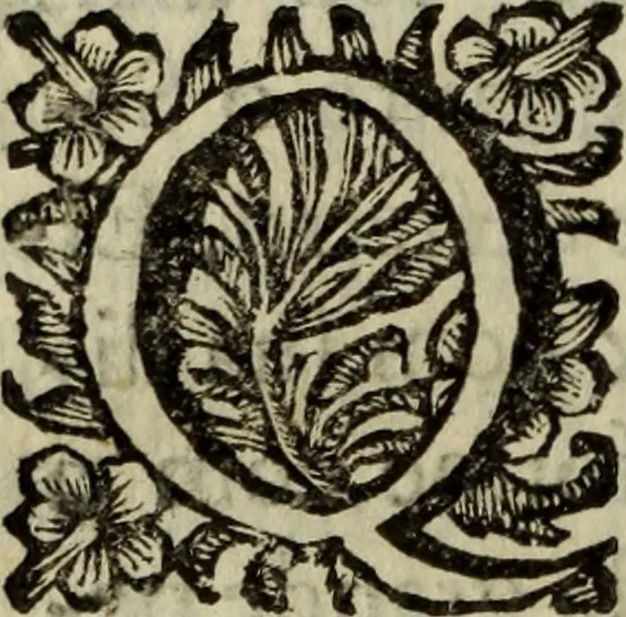An illustration from Saphira veneziana, e Jacinto portuguez : vida, morte, heroycas virtudes, & maravilhas ràras do gloriosissimo protopatriarcha S. Lourenço Justiniano, e do veneravel padre Antonio da Cõceiçam : livro unico, historico, & panegirico, 1677, leaf 193
