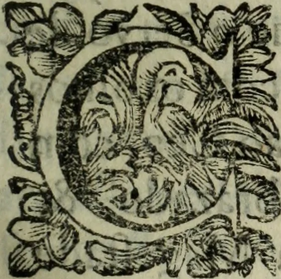 An illustration from Saphira veneziana, e Jacinto portuguez : vida, morte, heroycas virtudes, & maravilhas ràras do gloriosissimo protopatriarcha S. Lourenço Justiniano, e do veneravel padre Antonio da Cõceiçam : livro unico, historico, & panegirico, 1677, leaf 198