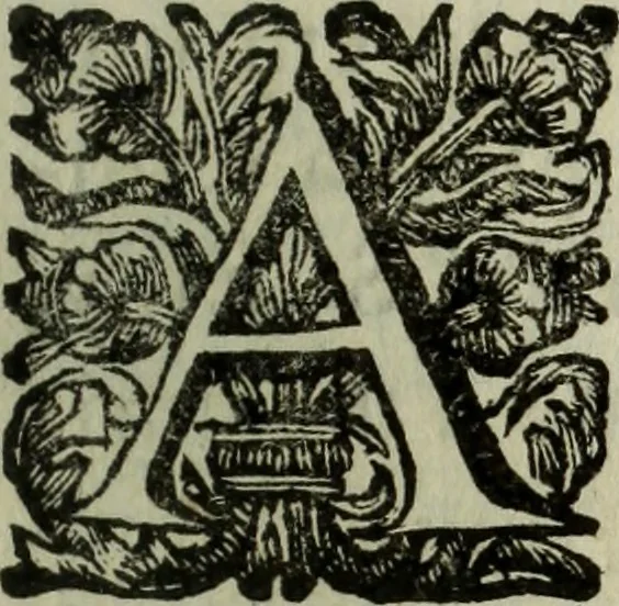 An illustration from Saphira veneziana, e Jacinto portuguez : vida, morte, heroycas virtudes, & maravilhas ràras do gloriosissimo protopatriarcha S. Lourenço Justiniano, e do veneravel padre Antonio da Cõceiçam : livro unico, historico, & panegirico, 1677, leaf 226