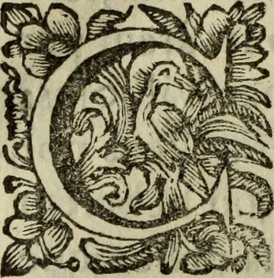 An illustration from Saphira veneziana, e Jacinto portuguez : vida, morte, heroycas virtudes, & maravilhas ràras do gloriosissimo protopatriarcha S. Lourenço Justiniano, e do veneravel padre Antonio da Cõceiçam : livro unico, historico, & panegirico, 1677, leaf 229