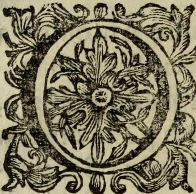 An illustration from Saphira veneziana, e Jacinto portuguez : vida, morte, heroycas virtudes, & maravilhas ràras do gloriosissimo protopatriarcha S. Lourenço Justiniano, e do veneravel padre Antonio da Cõceiçam : livro unico, historico, & panegirico, 1677, leaf 231