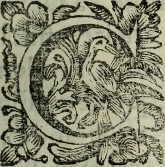 An illustration from Saphira veneziana, e Jacinto portuguez : vida, morte, heroycas virtudes, & maravilhas ràras do gloriosissimo protopatriarcha S. Lourenço Justiniano, e do veneravel padre Antonio da Cõceiçam : livro unico, historico, & panegirico, 1677, leaf 250