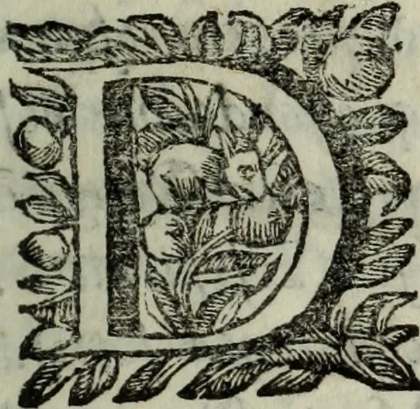 An illustration from Saphira veneziana, e Jacinto portuguez : vida, morte, heroycas virtudes, & maravilhas ràras do gloriosissimo protopatriarcha S. Lourenço Justiniano, e do veneravel padre Antonio da Cõceiçam : livro unico, historico, & panegirico, 1677, leaf 6