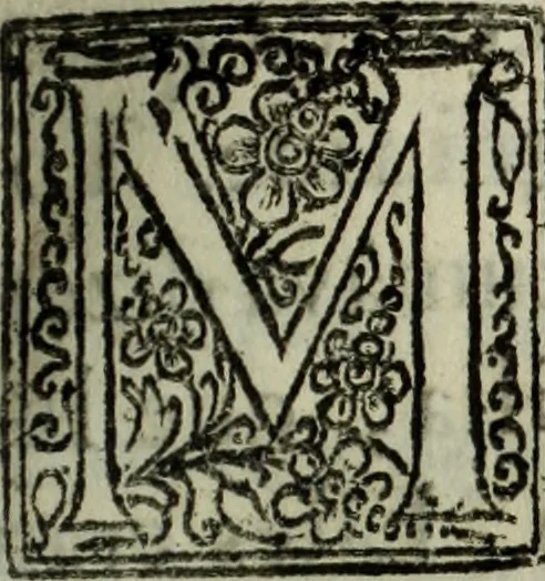 An illustration from Saphira veneziana, e Jacinto portuguez : vida, morte, heroycas virtudes, & maravilhas ràras do gloriosissimo protopatriarcha S. Lourenço Justiniano, e do veneravel padre Antonio da Cõceiçam : livro unico, historico, & panegirico, 1677, leaf 74