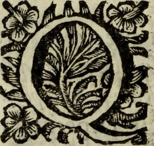 An illustration from Saphira veneziana, e Jacinto portuguez : vida, morte, heroycas virtudes, & maravilhas ràras do gloriosissimo protopatriarcha S. Lourenço Justiniano, e do veneravel padre Antonio da Cõceiçam : livro unico, historico, & panegirico, 1677, leaf 79